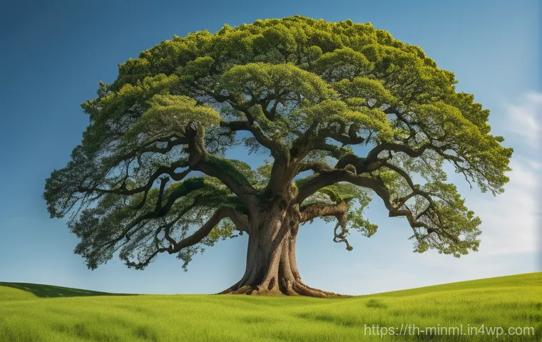 미니멀리즘 경제학의 원칙을 따른 투자자 - A diverse group of friends, in their late 20s to mid-30s, enjoying a beautiful sunny afternoon hikin...